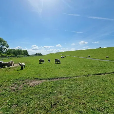 Ferienhaus Moewennest * Norden