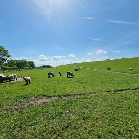 Ferienhaus Moewennest * Norden